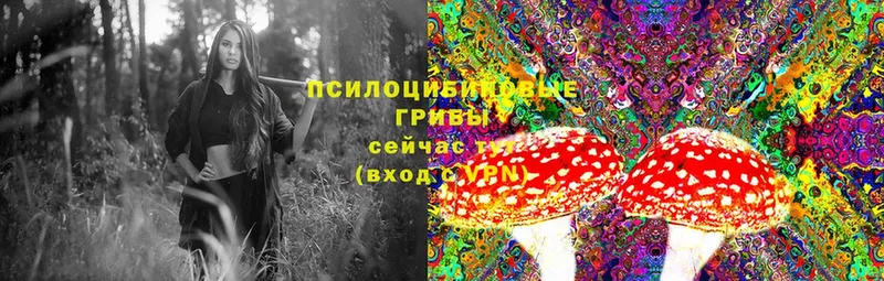 купить закладку  Белая Калитва  Галлюциногенные грибы Magic Shrooms 